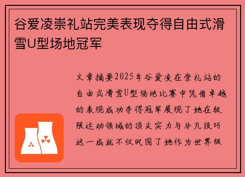 谷爱凌崇礼站完美表现夺得自由式滑雪U型场地冠军