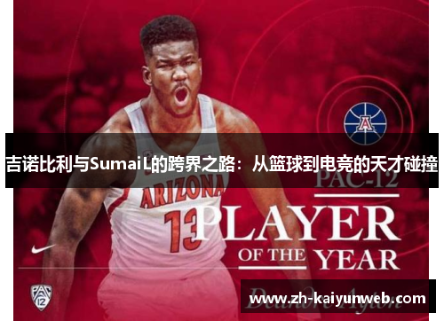 吉诺比利与SumaiL的跨界之路：从篮球到电竞的天才碰撞