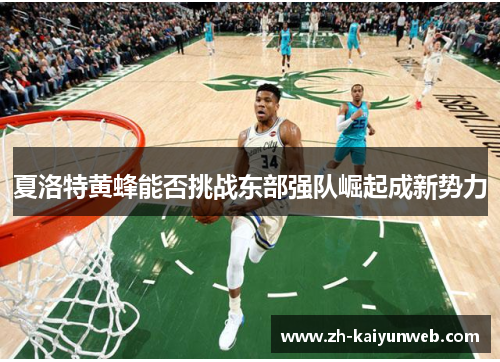 夏洛特黄蜂能否挑战东部强队崛起成新势力